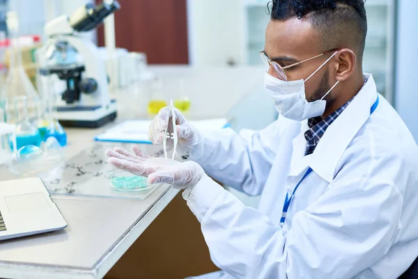 Serious Experienced Young Arabian Male Scientist Using Tweezers Putting Blue — Stock Photo, Image