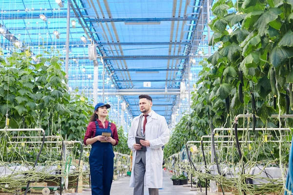 Retrato Gran Angular Del Ingeniero Agrícola Jefe Que Usa Bata — Foto de Stock