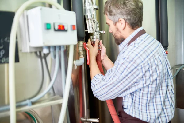 Working process at beer factory: concentrated middle-aged technician wearing apron and checked shirt adjusting equipment, profile view