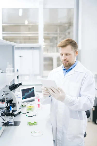 Porträt Eines Fokussierten Jungen Wissenschaftlers Laborkittel Der Der Forschung Mit — Stockfoto