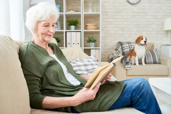 Zufriedene Neugierige Attraktive Seniorin Liest Buch Und Konzentriert Sich Auf — Stockfoto