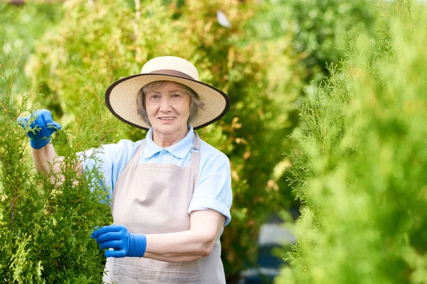 Retrato Una Mujer Mayor Sonriente Que Trabaja Jardín Posando Con — Foto de Stock