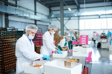 Şekerleme fabrika işçilerini beyaz kat taze toplama olarak pasta kağıt kutular pişmiş.. 