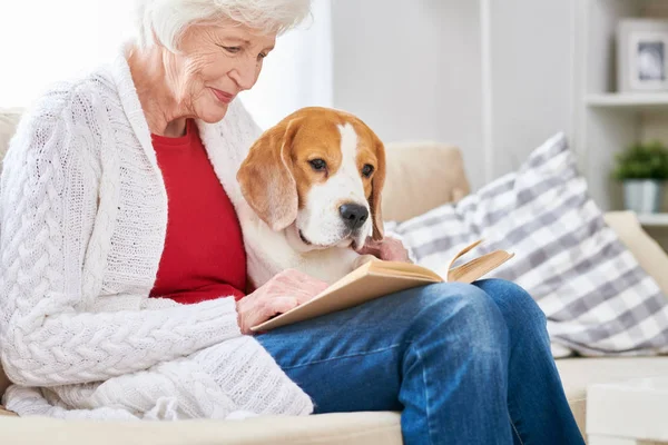 Side View Portrait Smiling Senior Woman Sitting Couch Her Dog — Stock Photo, Image