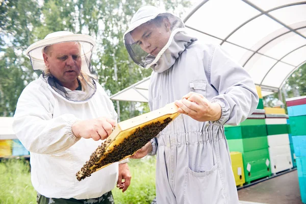 Portret Van Twee Imkers Dragen Van Beschermende Pakken Korf Frame — Stockfoto