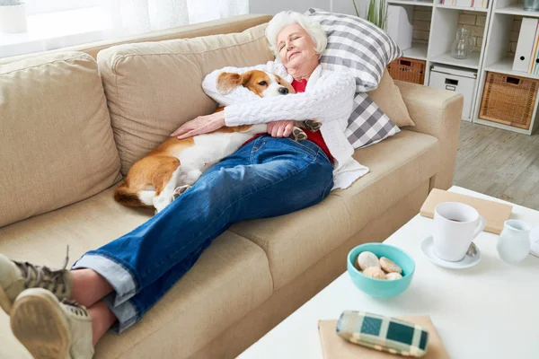 白い髪の年配の女性の家でお昼寝を楽しんで彼女の犬を抱いてソファで寝ているの完全な長さ高角度の肖像画 — ストック写真