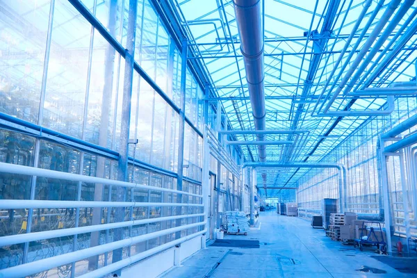 Vista Angolo Largo Serra Piantagione Industriale Moderna Illuminata Luce Azzurra — Foto Stock