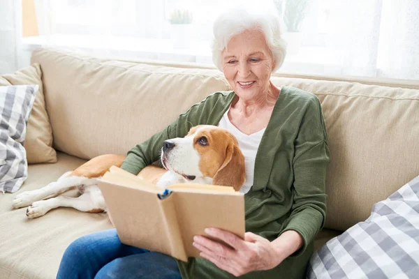 愉快的资深妇女的画像坐在舒适的沙发与宠物狗在她的膝上和读书书 — 图库照片