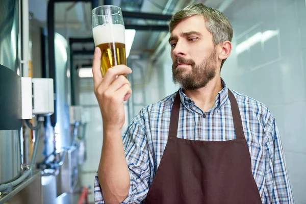 腰向上的胡子中年酿酒师穿衬衫和围裙品尝新鲜啤酒 同时站在现代啤酒厂的肖像 — 图库照片