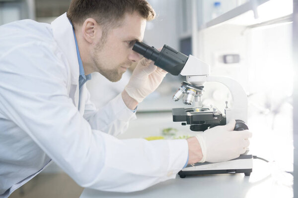 Side view portrait of scientist looking in microscope while doing research in medical laboratory