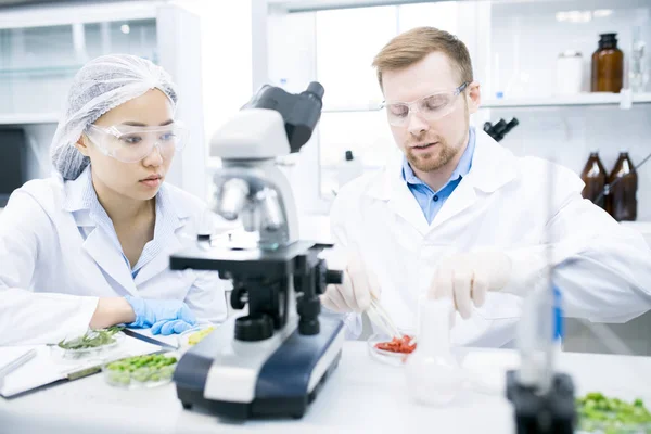 Retrato Dos Jóvenes Científicos Modernos Que Investigan Sustancias Alimentarias Laboratorio — Foto de Stock