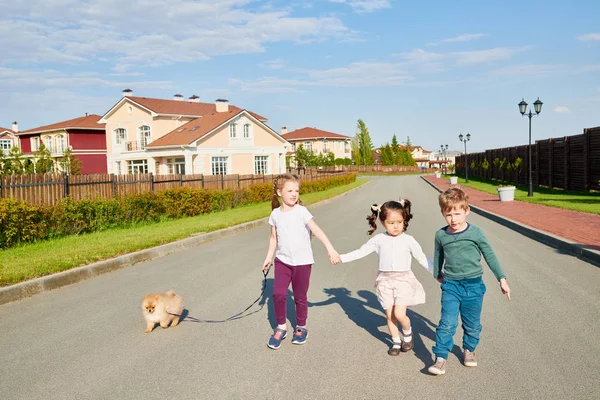 Tam Uzunlukta Portre Çocuk Güneş Işığı Kameraya Doğru Yürürken Evcil — Stok fotoğraf