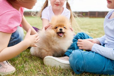 Üç çocuk ile yeşil çimenlerin üzerine açık havada yaz gününde oturan şirin tüylü köpek oyun orta bölüm portresi