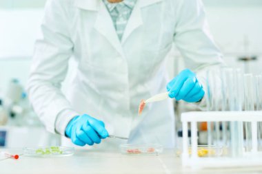 Laboratuvar tezgah ayakta ve yapay et örnek neşter yardımıyla eğitim beyaz ceket ve lastik eldiven giyen tanınmaz araştırmacının yakın çekim shot.