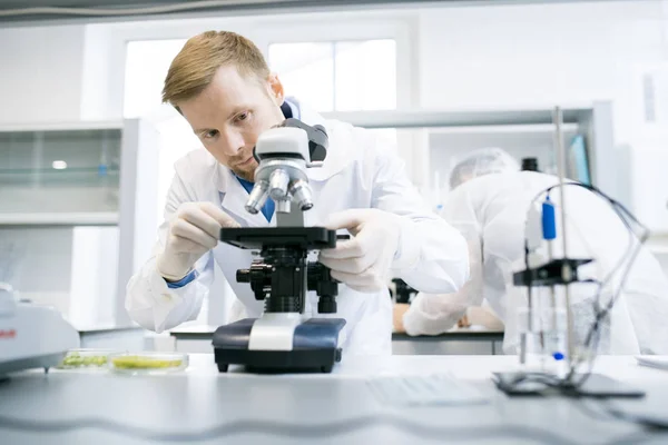 Porträt Eines Jungen Wissenschaftlers Unter Dem Mikroskop Bei Der Forschung — Stockfoto