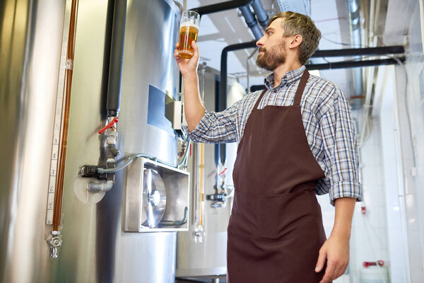 Портрет концентрированного инспектора среднего возраста в фартуке и клетчатой рубашке, стоящей на современном пивоварне и изучающего качество свежего пива
