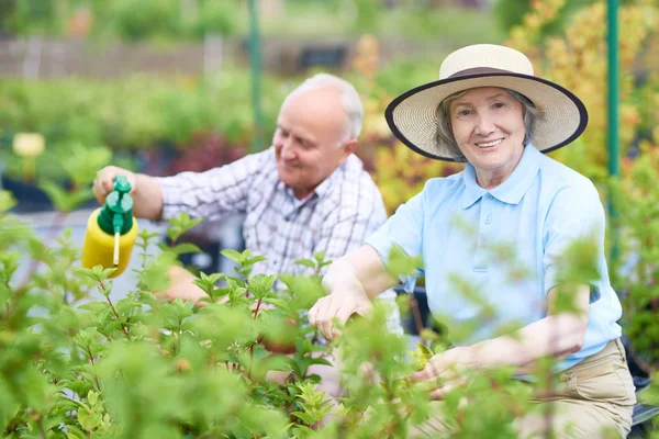 Retrato Feliz Pareja Ancianos Posando Mirando Cámara Mientras Trabajaba Jardín — Foto de Stock