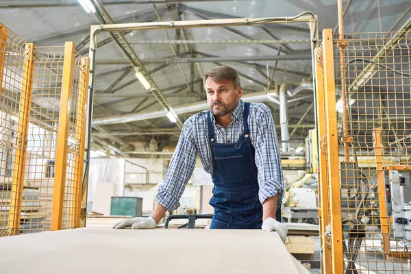 Mavi Ağır Panoları Sürüsü Taşıma Genel Giyen Olgun Fabrika Işçisi — Stok fotoğraf