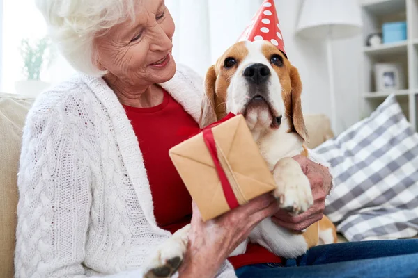 Smiling Beautiful Senior Woman White Cardigan Embracing Old Beagle Dog — Stock Photo, Image