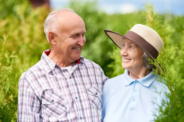Retrato Feliz Pareja Ancianos Posando Abrazándose Tiernamente Mirándose Unos Otros —  Fotos de Stock