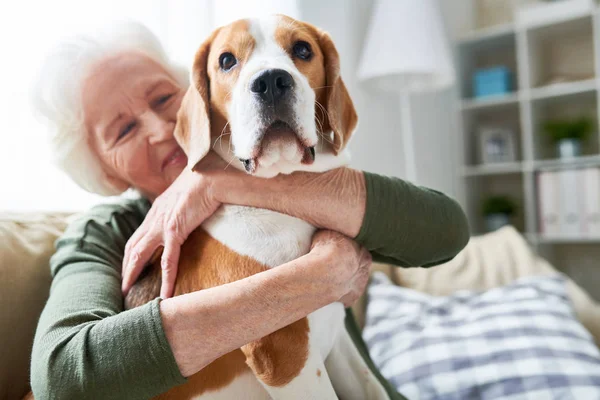 Retrato Mujer Mayor Elegante Abrazando Perro Mascota Tiernamente Sonriendo Felizmente —  Fotos de Stock