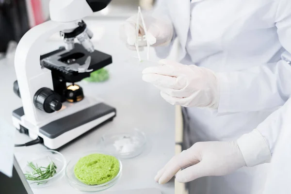 Crop scientists in laboratory coats and gloves standing at desk with microscope and taking sample with white pincers during food nutrition tests