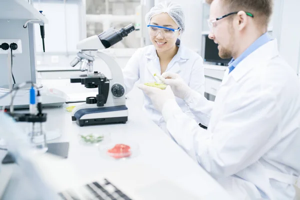 Retrato Dos Jóvenes Científicos Modernos Sonriendo Mientras Investigan Sustancias Alimentarias — Foto de Stock