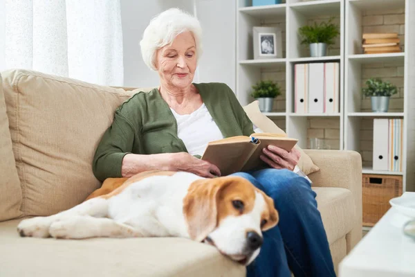 Portrait of elegant senior woman reading book sitting on couch and enjoying weekend with pet dog beside her in modern apartment interior