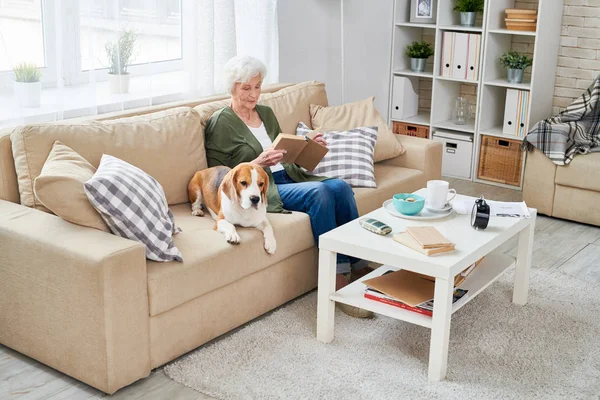 Ernsthafte Schöne Rentnerin Lässiger Kleidung Die Buch Liest Und Auf — Stockfoto