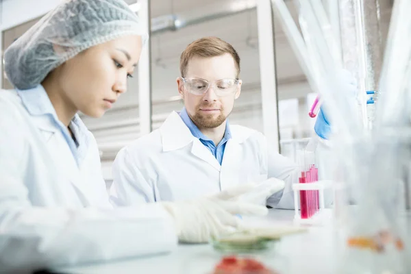 Ritratto Due Scienziati Moderni Che Lavorano Alla Ricerca Laboratorio Medico — Foto Stock