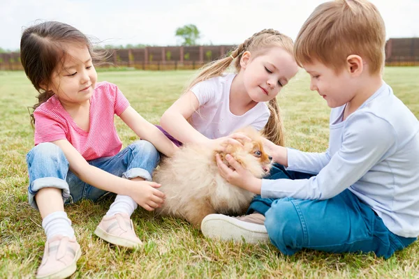 Retrato Longitud Completa Tres Niños Lindos Jugando Con Perro Esponjoso — Foto de Stock