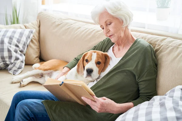 Ernsthafte Konzentrierte Seniorin Mit Weißem Haar Liest Interessantes Buch Und — Stockfoto