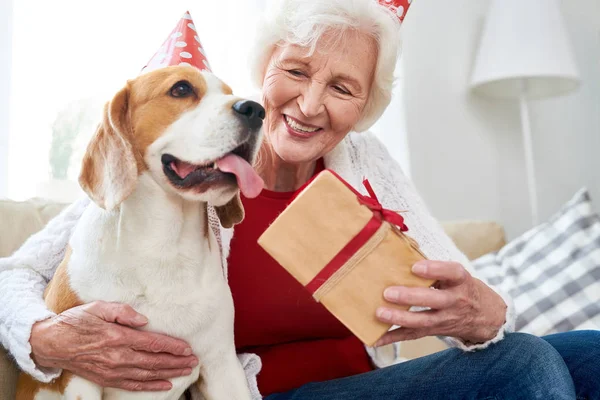 Portrait Happy Senior Woman Hugging Dog Holding Gift Box While — Stock Photo, Image