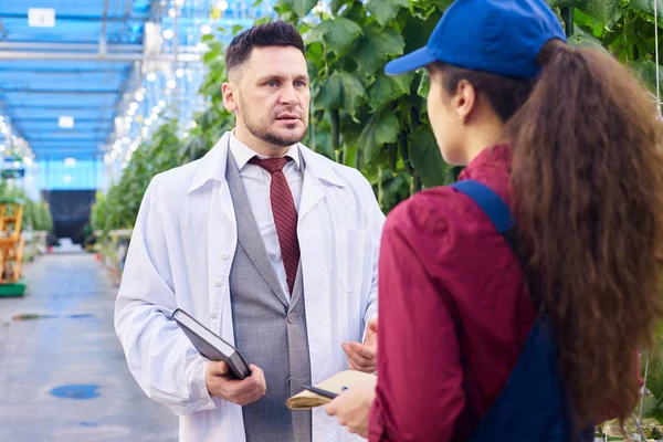 Cintura Hacia Arriba Retrato Guapo Científico Agrícola Hablando Con Trabajadora — Foto de Stock