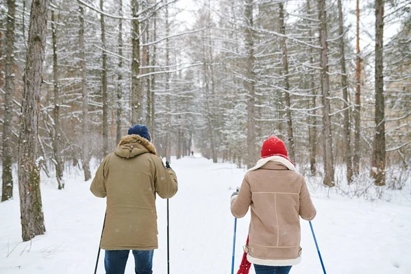 后视图活动的年轻夫妇享受滑雪在美丽的冬季森林 复制空间的后视图肖像 — 图库照片
