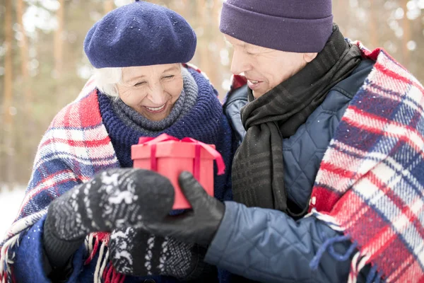 Πορτρέτο Του Ευτυχισμένο Γηραιότερος Ζευγάρι Μοιράζονται Δώρα Εξωτερικούς Χώρους Χειμώνα — Φωτογραφία Αρχείου