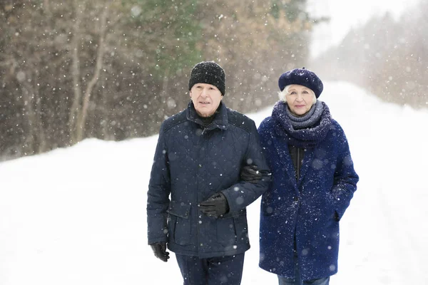 腰起爱老年夫妇手牵手走在雪冬林中 复制空间的肖像 — 图库照片