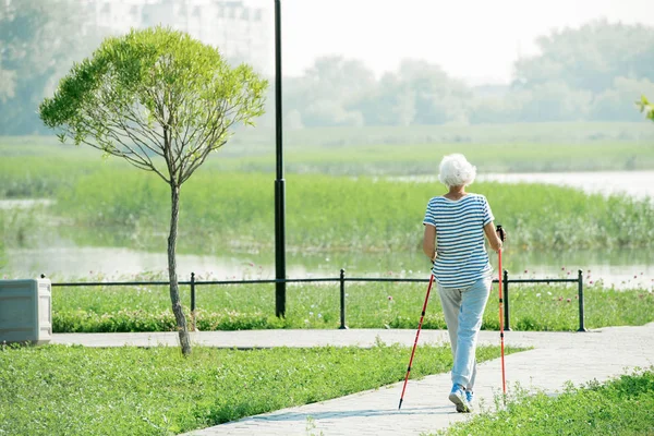 Ritratto Donna Anziana Attiva Che Pratica Nordic Walking Con Bastoncini — Foto Stock