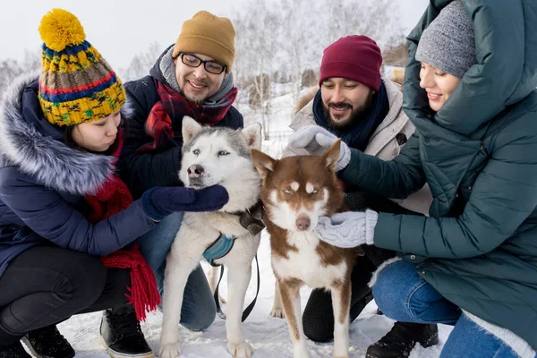 Porträtt Två Unga Par Att Kul Vinter Utomhus Spelar Med — Stockfoto