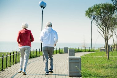 Göl boyunca parkta birlikte çalışan aktif Senior çift arka görünüm portre, kopya alanı