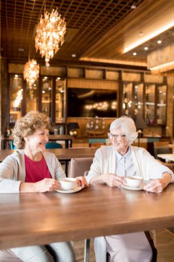Modern kafede sohbet ederken masada oturan ve birlikte kahve içen hırkagülümseyen çekici olgun bayanlar