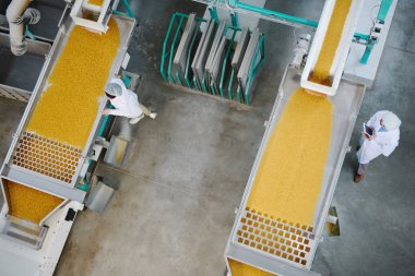 Gıda üretiminde kalite denetimi sırasında konveyör bantları ile ayakta iki fabrika işçilerinin yukarıda görünümü, kopyalama alanı