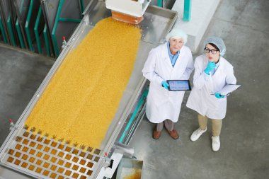 Makarna konveyör bandının yanında duran ve gıda üretiminde kalite denetimi sırasında yukarı bakan iki kadın fabrika işçisinin yüksek açılı portresi, fotokopi alanı