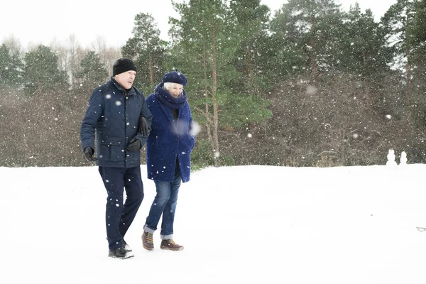 全长画像现代老年夫妇走在冬天的森林和聊天的方式与雪轻轻地下降 复制空间 — 图库照片