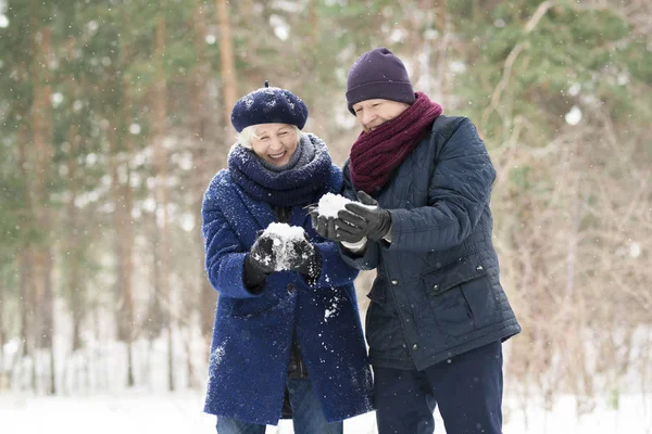 腰起无忧无虑的老年夫妇拿着一把雪在冬天的森林和笑快乐 复制空间 — 图库照片