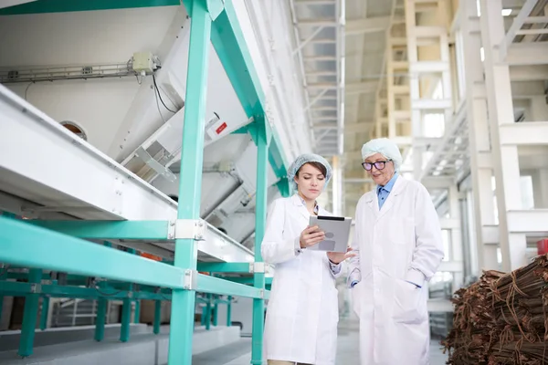 Wide Angle Portrait Two Factory Workers Using Digital Tablet While — 스톡 사진