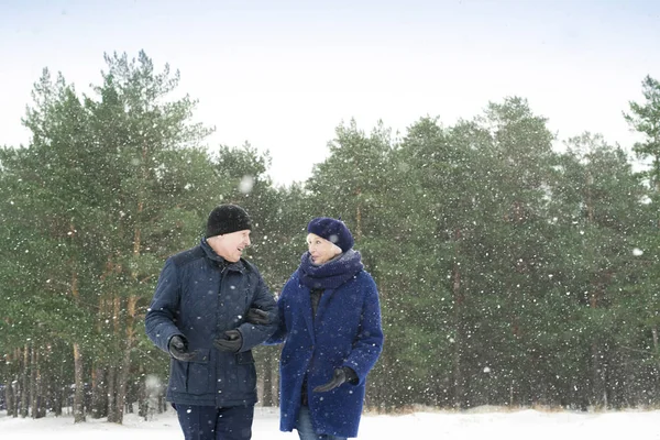 Portret Van Vrolijke Senior Paar Wandelen Winterbos Chatten Weg Met — Stockfoto