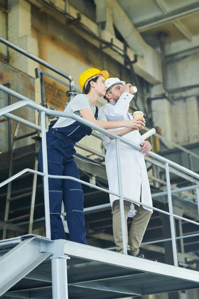 Ganzkörperporträt Von Zwei Fabrikarbeitern Die Auf Dem Balkon Stehen Und — Stockfoto