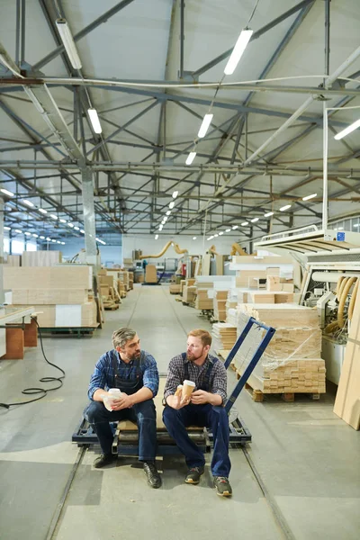 Serious bearded furniture workers in uniform sitting on pallet jack and drinking coffee from disposable cups while chatting and resting at break