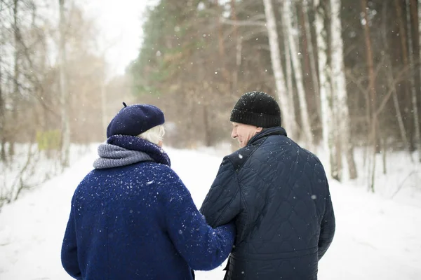 后视图画像爱老夫妇手牵手走在雪雪的冬季森林 复制空间 — 图库照片